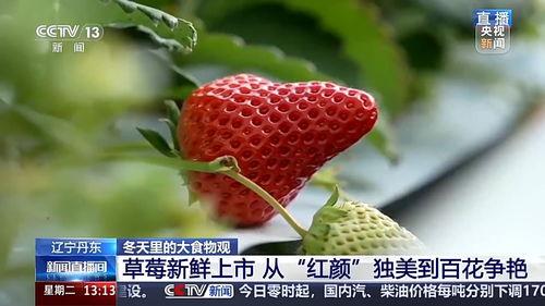国产草莓草莓在线视频,草莓在线视频带你领略田园风情
