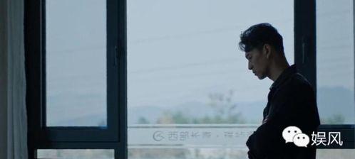 张一彤在线播放国产,国产生态影视佳作