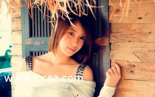 国产有码在线观看视